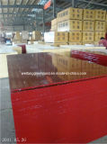 Bamboo Shuttering Plywood