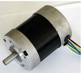 BLDC Motor (57BLY)