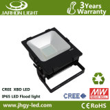 150W Outdoor Meanwell Dtiver LED Garden Light with CREE Chips