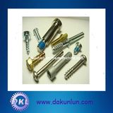 Factory Sell_Bolt/Bolt and Nut/Custom Made Bolt