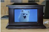 LCD with Various Pictures Pet Casket