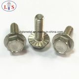 Ss 304 Hex Bolt with Flange/Hexagon Head Bolt with Collar