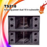 Ts218 Self-Design Amazing Power Professional Speaker, Subwoofer