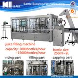 Fruit Jus Plastic Bottle Filling Machinery