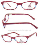 Top Sale China Factory Fashion Eyewear Optical Frames (OA342005)