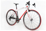 Crb001 Variable Speed City Road Bicycle