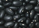 Organic Small Black Bean for Wholesale