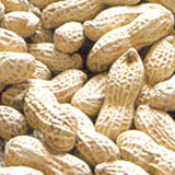 New Crop Shandong Peanut in Shell