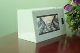 Barcode Scanner Video Screen