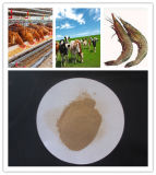 High Protein Feed Yeast Powder for Livestock