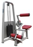 Fitness Equipment / Gym Equipment / Back Extension (SM17)