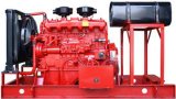 Wandi (WD) Diesel Engine 150HP for Pump (WD129B11)