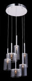 Modern Lighting Home Decoration with Glass Shade (MD4133-6CL)