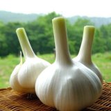 2015 Chinese Normal White and Pure White Garlic