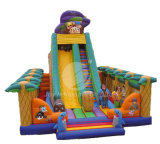 Colorful Inflatable Slide (T3-113)
