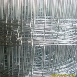 Galvanized Livestock Fence