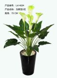 High Quality of Artificial Plants with Flowers Calla Lily