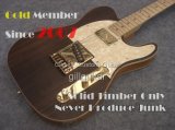 Sbf-Tel Gillguitar with Special Timber