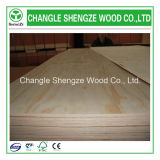 Furniture Grade 12mm/15mm/18mm Commercial Plywood