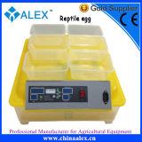 CE Approved Reptile Eggs Incubator for Sale