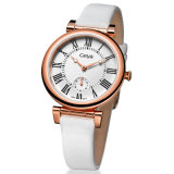 Stainless Quartz Watch for Lady (6178L)