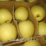 Professional Supplier for Fresh Golden Pear