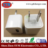 Factory USB Charger for Smart Phone