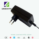 24W Switching Power Supply with UL CE