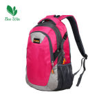 Leisure Outdoor Laptop Backpack /Computer Bag with Ripstops (BW-5089)