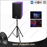 Dw-10 8 Ohm 250W DJ Stage Club Sound System