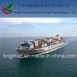 LCL Freight Agent From China to Guatemala
