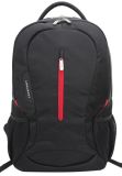 Nylon New Design Laptop Bags-Backpack-Computer Bag (LSB7126)