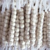 Shandong Boren Crop Fresh Normal Garlic