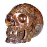 Tiger Eye Carved Human Skull Carving Figurine (0V73)