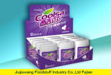 Bottle Packing Sugar Free Blueberry Chewing Gum