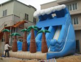 Inflatable Slide, Water Slide Wave, Giant Slide (B4032)