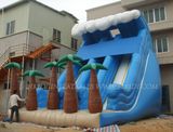 Inflatable Slide, Water Slide Wave, Giant Slide (B4032)