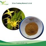 Chinese Traditional Herb Medicine Epimedium Extract Icariin