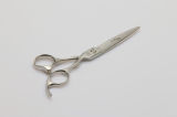 Hair Scissors (U-234)