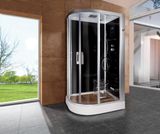 Steam Shower Room (WN-1214)