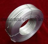 Flat Wire, Galvanized Flat Wire for Carton Nail CT-Flt