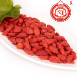 Traditional Patented Medicine Chinese Goji Berry Herb