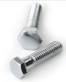 Stainless Steel Assembled Hex Bolt with Nut