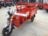 110cc 	China Motorized	Gasoline	Adult 	Cargo 	Tricycle	for Sale (SY110ZH-D)