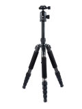 Professinal Foldable Tripod with Ball Head for Video Camera