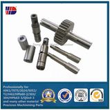 Stainless Steel Custom Machined Worm Gear Screw Shaft