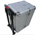 Korea Syle Cosmetic Case Trunk Shape Beauty Case