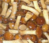 Marinated Mushroom