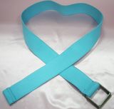 Belt SDC11305