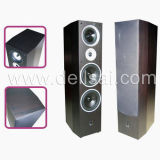 Home Theater (DS-T08)